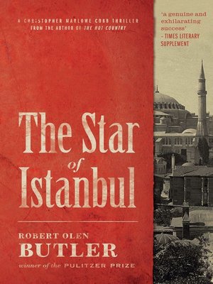 cover image of The Star of Istanbul